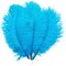 Turquoise Ostrich Feather Plumes for Crafts, Wedding, Home Decor (12-14 in, 12 Pack)